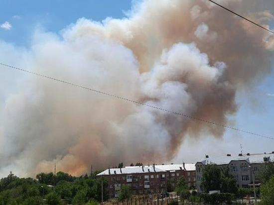В Батайске на большой площади горит мусор и сухая трава