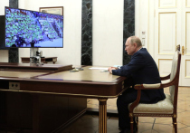 Владимир Путин возглавит наблюдательный совет «новой пионерии»