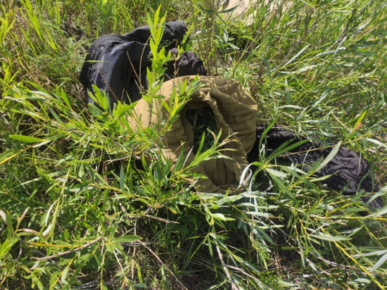 Забайкалец пытался перевезти на мотоцикле более килограмма конопли