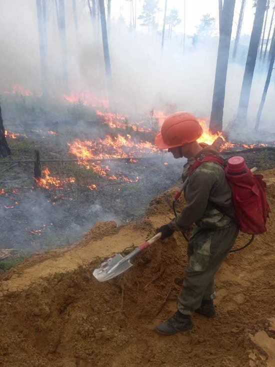 В Бурятии продолжают тушить один лесной пожар