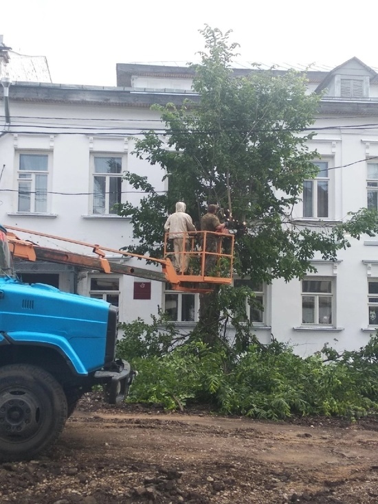 В Данилове жители встали на защиту Аллеи Ветеранов