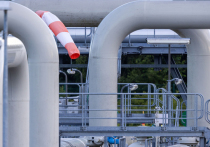 Промышленность Германии может ожидать «инфаркт» в случае полного газового эмбарго со стороны России