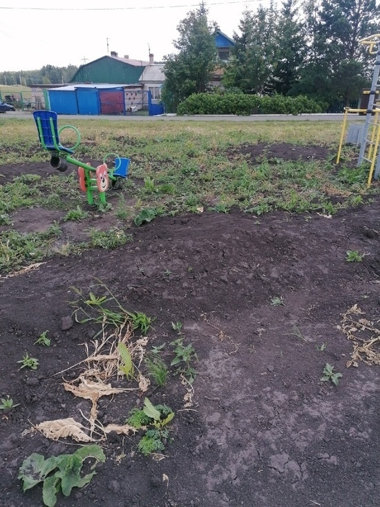Жители кузбасского села шокированы новой детской площадкой