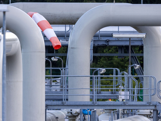 ZDF: экономике Германии грозит «инфаркт» без российского газа