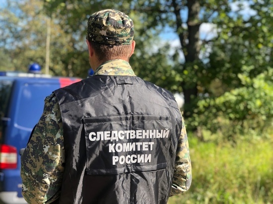 Директора новгородской школы заподозрили во взяточничестве