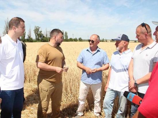 В ДНР признали украинские трудовые книжки