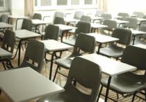 Департамент образования (DOE) Нью-Йорка прогнозирует, что в наступающем учебном году в школах не досчитаются примерно 30 тысяч учеников