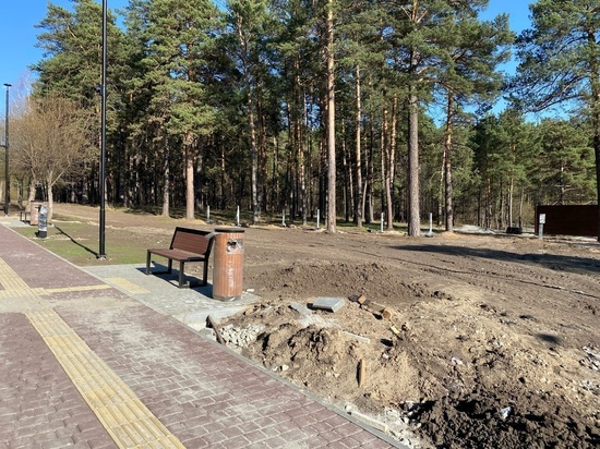 В Заельцовском парке в Новосибирске из-за дефектов закрыли детские площадки