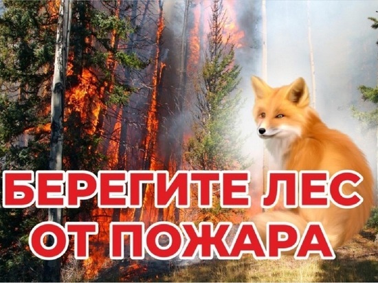Горит 522 га: на Ямале тушат 6 лесных пожаров