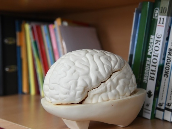 Волгоградские медики назвали топ-5 продуктов для здоровья мозга