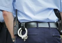 Черемушкинский суд вынес приговор по делу сотрудников полиции, обвинявшихся в посредничестве при передаче взятки