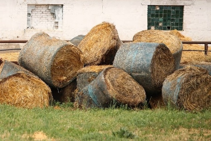 2 тонны сена. Сенник деревянный. 540 Тонн сена. Сенокос в Московской области правда. Бапкет исткло сена.