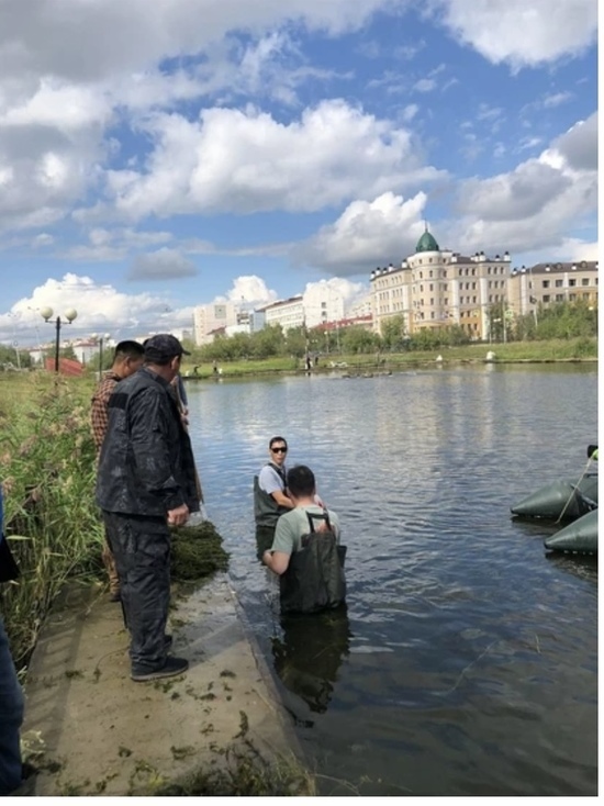В Якутске Теплое озеро очистили от ряски