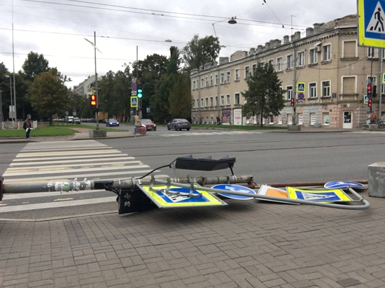 Легенда о «Зельде»: как в Ленинградской области устраняли последствия урагана