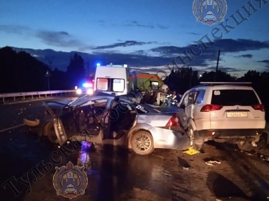 В Туле водитель сбил лису и выехал на встречку: пострадало 2 водителя и ребёнок