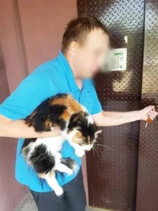 «Случай вопиющий»: псковский депутат отреагировала за случай с убийством кошки