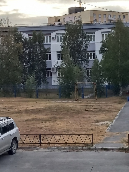 Как химией отравили: пожелтевшие после покоса газоны возмущают жителей Надыма