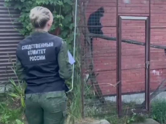 Напавшая на двухлетнюю луганскую малышку обезьяна еле выжила
