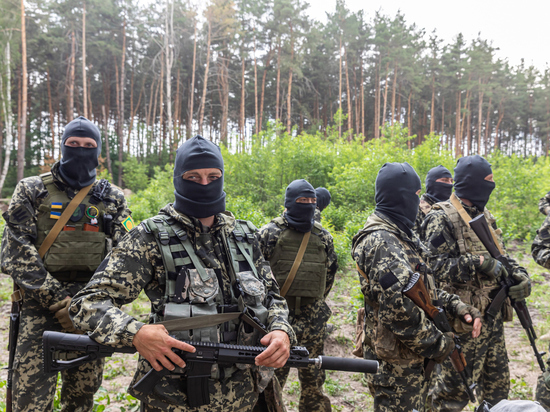 Киевскому режиму нужны «мощные резервы»