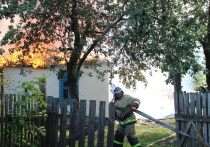 В деревне Ниловка под Сараями сгорел дом
