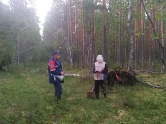 Спасатели вывели из леса Волховского района заблудившегося мужчину