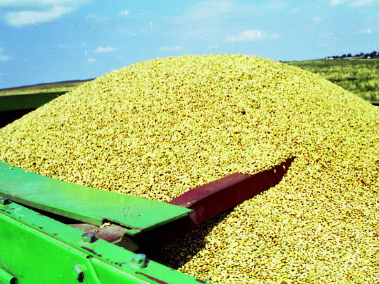 Госдеп заявил о заинтересованности перевозчиков и страховщиков в использовании российских портов