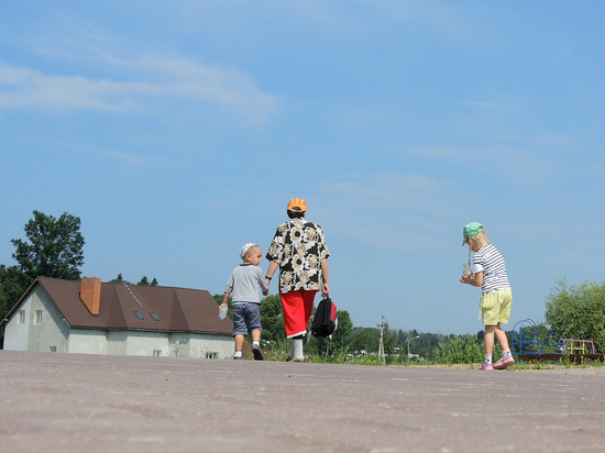 Эксперт рассказал, как можно снизить членские взносы в СНТ