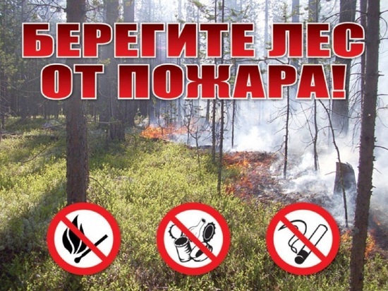 350 га леса продолжает гореть на Ямале