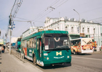 Жители Рязани создали петицию в защиту троллейбуса