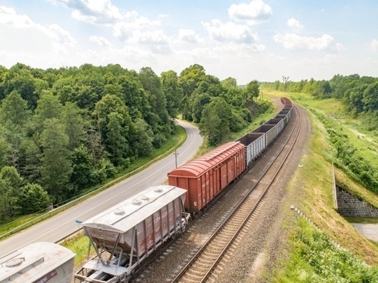 Литовские железные дороги возобновляют транзит санкционных грузов в Калининград