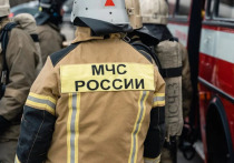 В Пронске на пожаре погиб 50-летний мужчина
