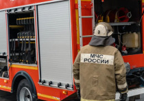 В Сасовском районе на пожаре погиб 57-летний мужчина