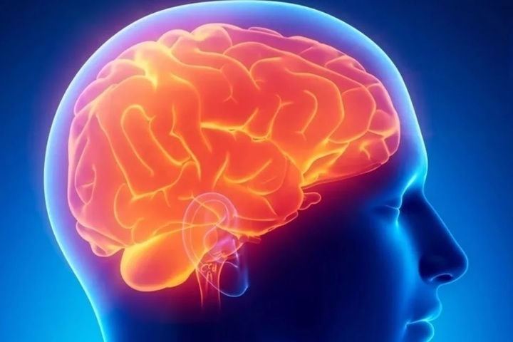 Ученые рассказали, что нужно есть, чтобы мозг работал хорошо до глубокой старости