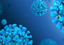 По официальным данным, в столице за последние 24 часа медики выявили 1 871 новый подтвержденный случай инфицирования коронавирусом