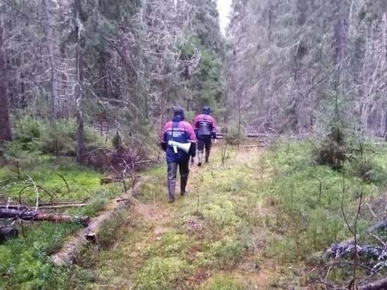 Спасатели из Приозерска вывели из леса заблудившегося мужчину
