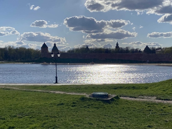 В Новгородскую область пришла аномальная 30-градусная жара