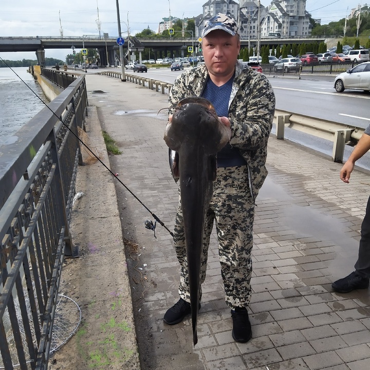 Сом на водохранилище. Рыбак. Рыбаки.