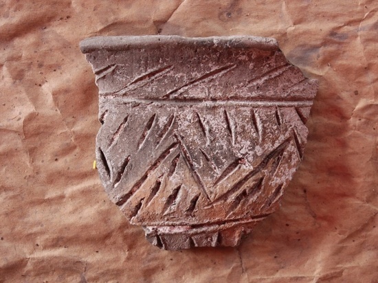 Под Воронежем в Дивногорье при раскопках найдены фрагменты ручного веретена, созданного до нашей эры