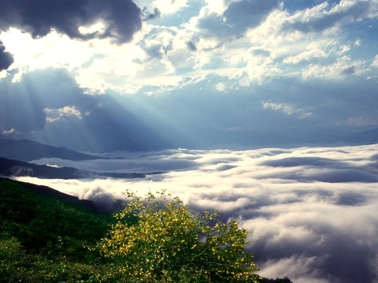 В Северной Осетии мужчину убило рухнувшей крышей