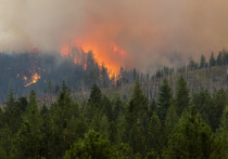Власти американского штата Калифорния эвакуируют людей из зоны масштабного лесного пожара
