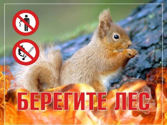 На Ямале горит 178 га леса