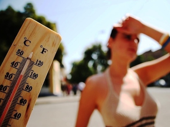 Ярославцев предупреждают о приходе аномальной жары