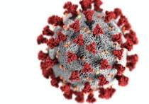 В Забайкалье за стуки выявлено 13 новых случаев заражения коронавирусом