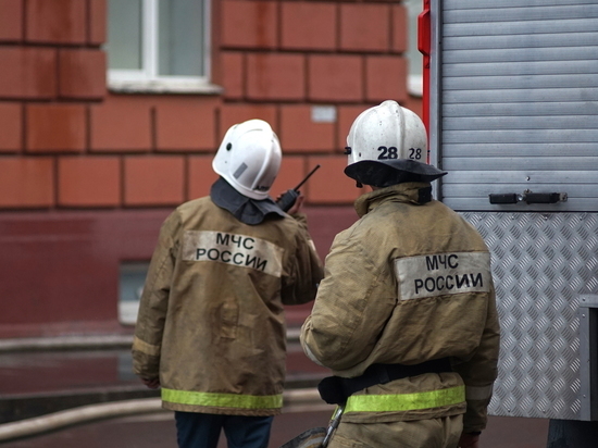 Пожарные локализовали возгорание в цеху по обработке дерева в Металлострое