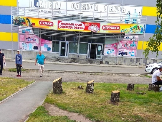 Барнаульцы возмущены рубкой здоровых тополей и берез на улице Малахова