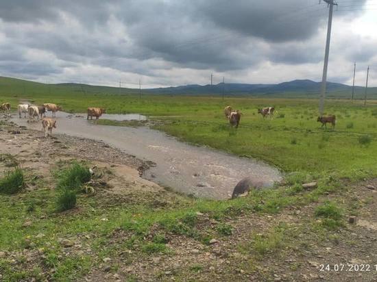 В селе Борзинского района ливнем подтопило восемь домов