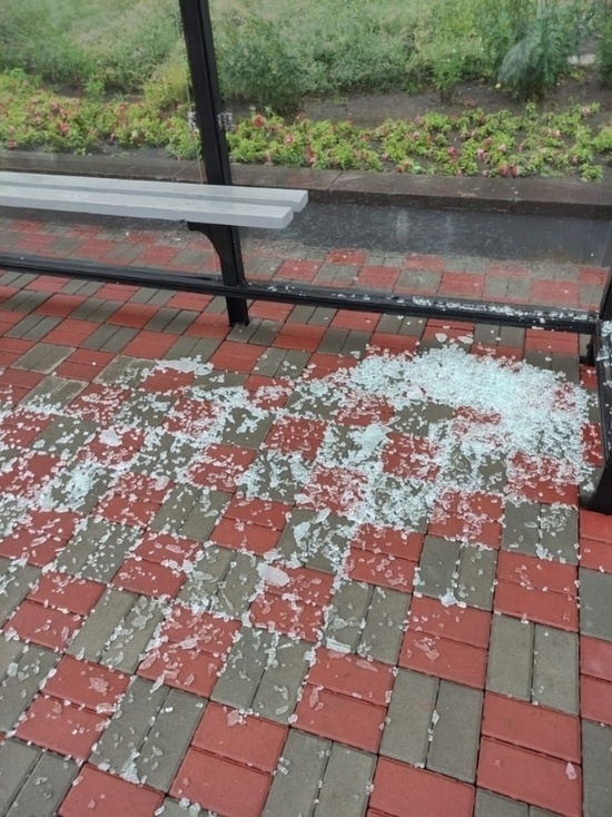 В Тамбове во время непогоды на одной из остановок рассыпалось стекло