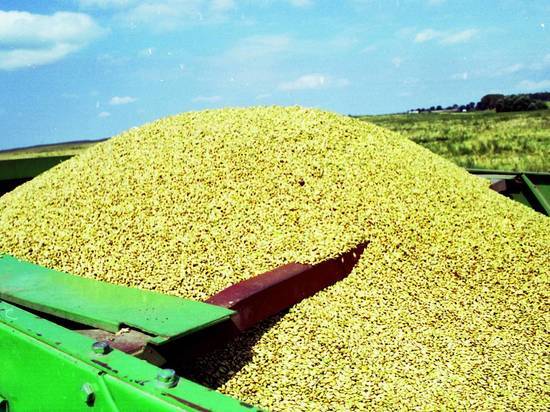 На Украине назвали сроки, необходимые для вывоза зерна