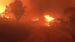 "Огненный ад": лесные пожары в Калифорнии подошли к парку Йосемити
