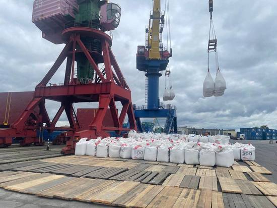 В Калининграде разгружают почти четыре тысячи тонн санкционных товаров с сухогруза «Холмогоры»
